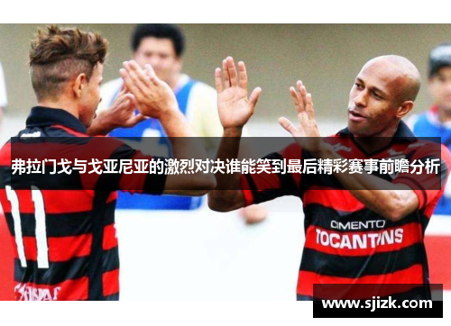 弗拉门戈与戈亚尼亚的激烈对决谁能笑到最后精彩赛事前瞻分析